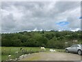 Field with horses grazing near Llanfihangel-ar-arth