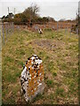 Naid-y-March Standing Stones