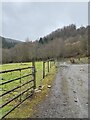 Track towards St Gwynno Forest