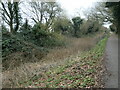 The Derby Canal, near Chellaston