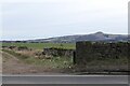 Wall on A91 near Auchtermuchty