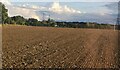 Ploughed field