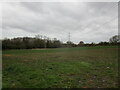 Electricity line off Thurcaston Lane