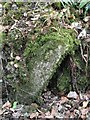 Old Bridge Marker near Grenofen Bridge, Whitchurch