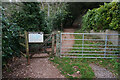 Path leading to Brunel Woods, Watcombe, Torbay