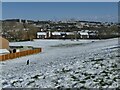 Snowy scene from Musgrave View