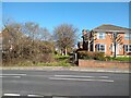 Entrance to a green space from Lyefield Road