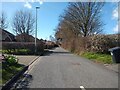 Lyefield Road looking West