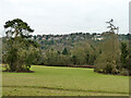 View north-west from Manor Park, Whyteleafe