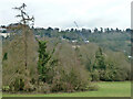 View west from Manor Park, Whyteleafe