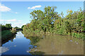 Ashby Canal south-east of Whitestone, Nuneaton