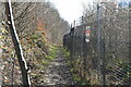 Footpath, Lodge Wood