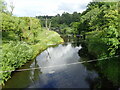 The River Devon with canoe slalom poles strung across