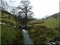 Sheep crossing a stream