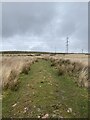 Track up Mynydd y Drum