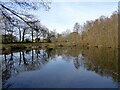 TQ4623 : Pond, Furnacebank Wood by Simon Carey