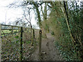 Public footpath 266, Holmwood