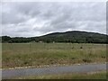 Looking toward Leault Farm, Kincraig