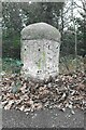 Old Milestone by A21, Farnborough Common, Locks Bottom, 130m West of Fantail junction