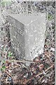 Old Milestone by A24, Andrews Farm