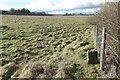 Durrington Walls and milestone