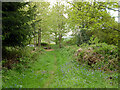 Bridleway 3348 towards Heath End Lane