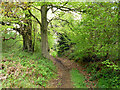 Bridleway 3348 around Heathend Copse