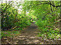 Bridleway 3348 towards Gills Lane