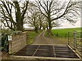 Track with Cattle Grid off the B5109