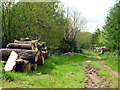 Track and timber, Heathend Copse