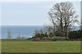 Cliff top field at East End