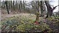 Stone post in woodland at Howgate Head