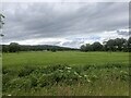 Farmland, Glenmorangie