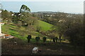 Hillside above Barton