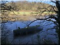 Sunken boat in the River Wear