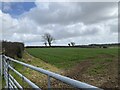 Farmland near Templeton