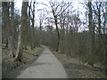 Woodland footpath, Graves Park (2)