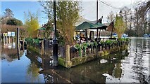 TQ1673 : White Swan flooded pub garden by Mark Percy