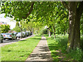 Path along west side of Wandsworth Common