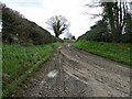 Rural tracks at Montford, Shropshire