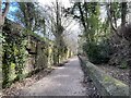 Wirral Way in Neston cutting