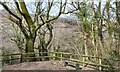 A bench beside National Cycle Route 47