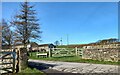 Pateley Bridge, New Causeway Farm