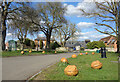 Giant Walnuts on the Green