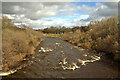 The Ettrick Water at Selkirk