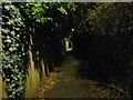 SU8361 : Alleyway at night by Oscar Taylor