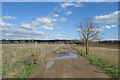 Farm Track, Bessels Leigh