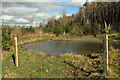 A pond at Mauldsheugh Wood, Selkirk