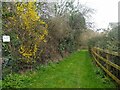 Access track for Bridge Farm Pool