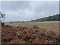 Looking towards Castlehill farm